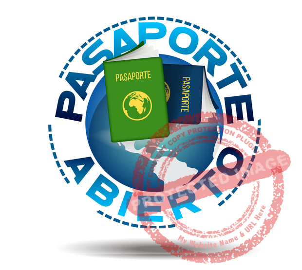 premio pasaporte abierto 2018