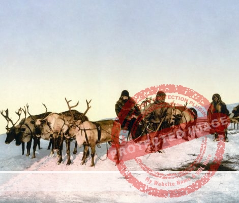 El "falso documental" de Nanuk en el Polo Norte – Cineturismo.es