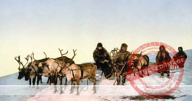 El "falso documental" de Nanuk en el Polo Norte – Cineturismo.es